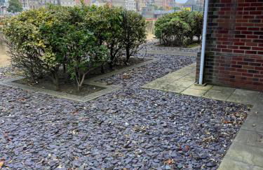 Lovely, Sleeps 6, 2 baths, Riverside Views, Parking, GY - Foto 29