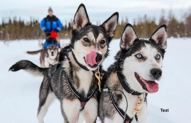 Arctic Resort Delight - Foto 19