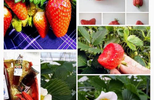 La maison bleue, entre terre et mer - Foto 16