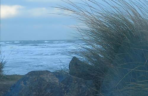 Chez Jeanne - Foto 3