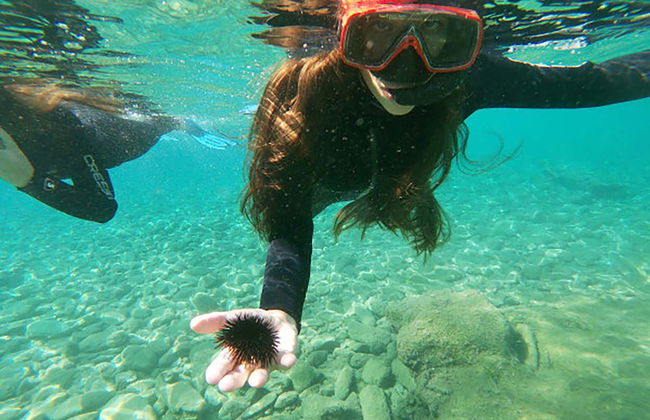 Snorkel em Agia Pelagia - Foto 7