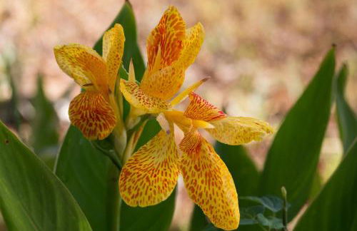 Resort Capo Bianco - Foto 35