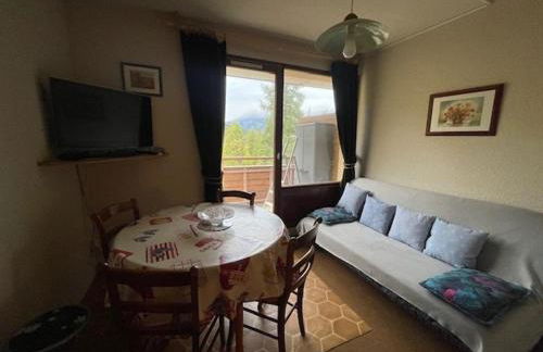 Studio confortable 4 pers, accès pistes, terrasse - FR-1-804-48 - Photo 3