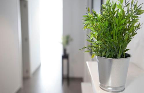 Flats Friends Tetuan - Foto 13