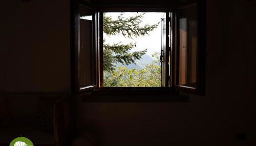 Villa Cerfoglio, pace sulle colline romagnole - Foto 2