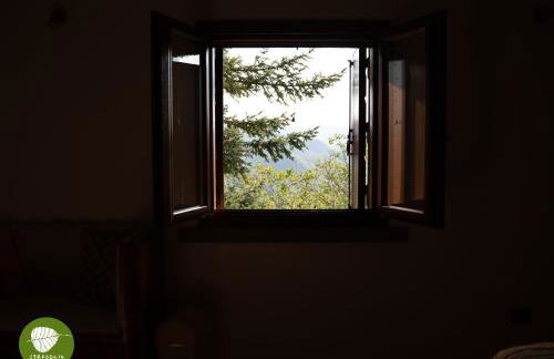 Villa Cerfoglio, pace sulle colline romagnole - Foto 2