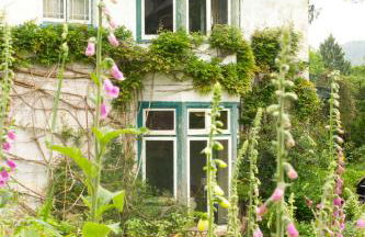 ASHLEY COURT - Foto 9