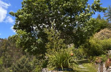 CASA das Leiras - Foto 59