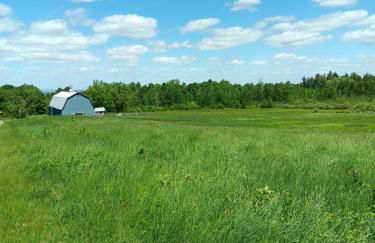 Our Parents Family Farm - Foto 1