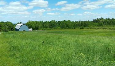 Our Parents Family Farm - Foto 1