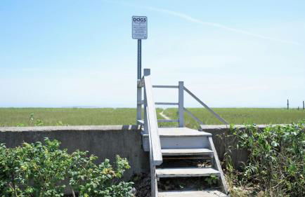 Bliss Street Beach House by Bayley Vacation Rental - Foto 46