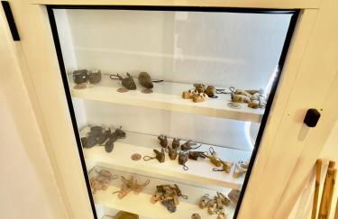 Domo Amsicora - Affittacamere - By Faendho - Foto 49