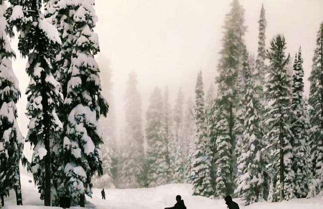 Hannon House - Photo 48