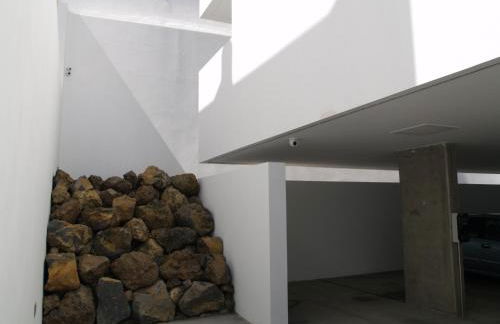 Flying La Palma - Sostenible - Foto 29