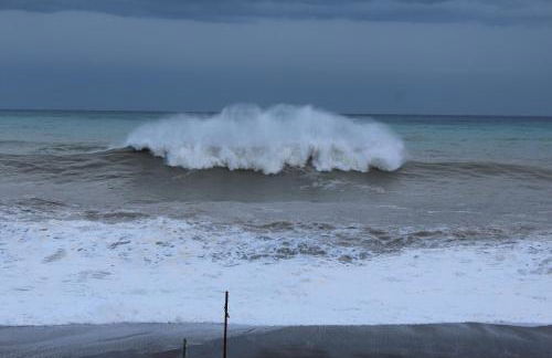 I Cardellini - Foto 10