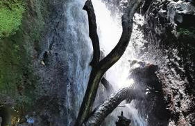 Casa da Guida - Foto 39