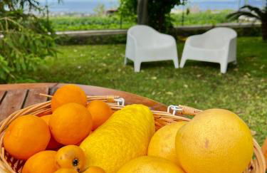 Villa Joyosa Apartments - Photo 44