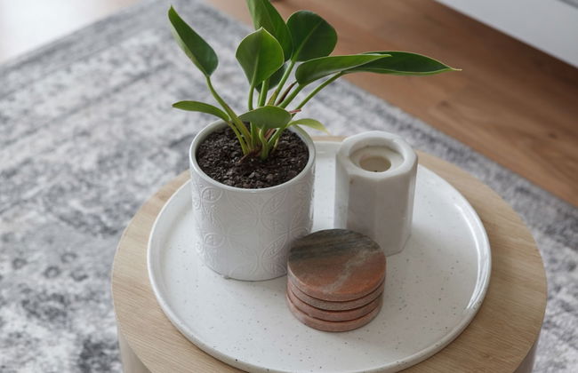 Heart of Ormond Apartment by Ready Set Host - Photo 6