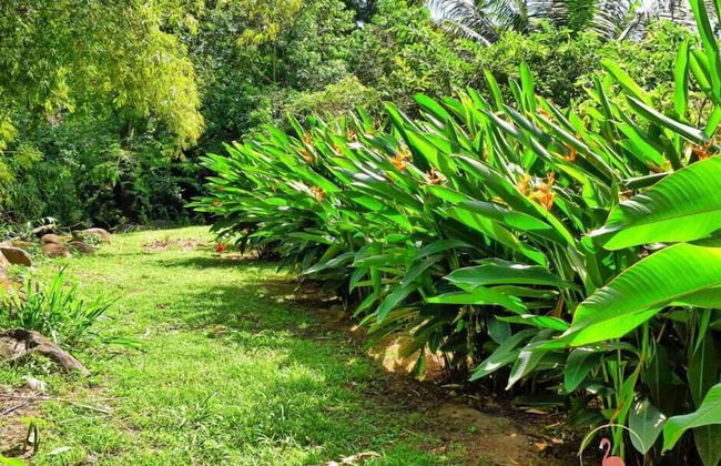 ClarenceVille Villa Apartments - Foto 36