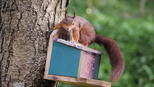 Pirnmill Home with a view - Photo 3