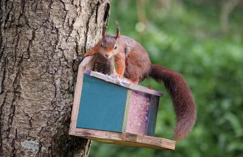 Pirnmill Home with a view - Photo 3