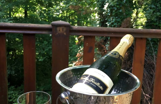 Goldcrest 1 Hot Tub - Foto 8