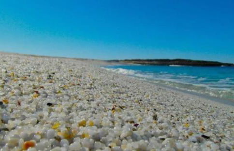 Appartamento in villa con vista mare - Foto 27