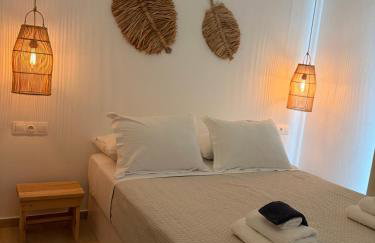 Eolia luxury houses Andros - Photo 7