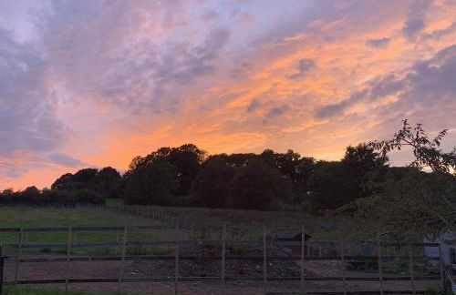 The Farm Barn - Foto 18