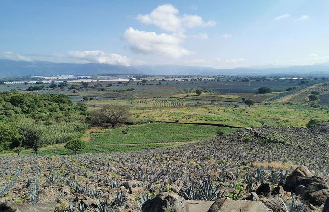 Horseback Riding in Tequila & Distillery Visit with Tasting - Photo 11