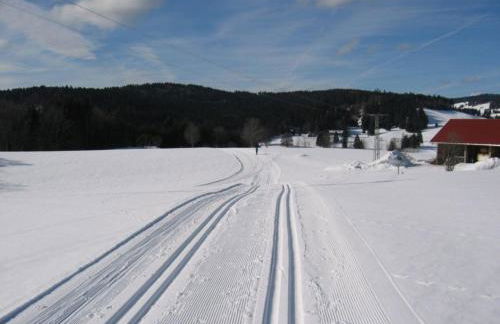 Apartment Appartement in Wittenschwand by Interhome - Foto 28