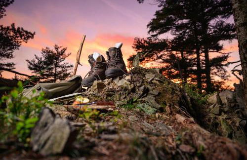 Ferienwohnung am Schwellenweiher - Foto 29