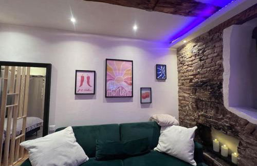 Studio Charme Huningue Abbatucci - Foto 12