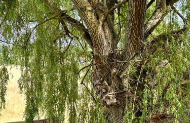 Maison Bourbonnaise idéalement placée proche du centre ville de Moulins - Foto 7