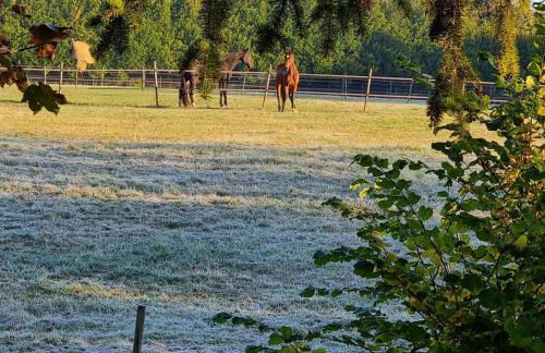 Designer House with Breathtaking View - Foto 16