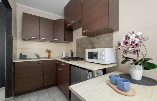 Charming Studio with Balcony in Katowice by Noclegi Renters - Foto 2