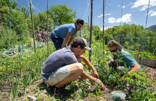 La Ferme De Chalas - Foto 39