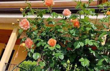 Villa Danica - Foto 37