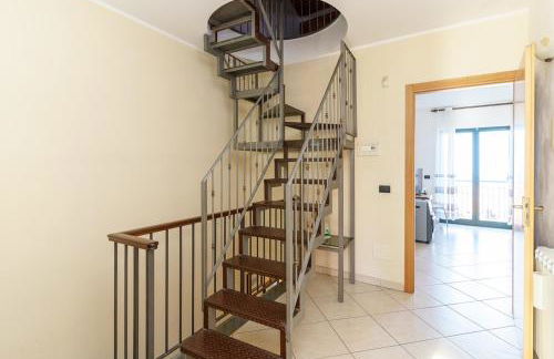 Little Rose garden - Foto 11