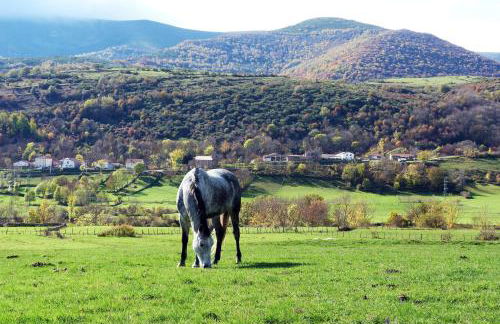 El Balcon de La Lomba - Casa - Foto 131