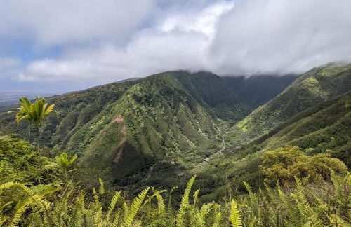 Hale Mai Hopohopo - Foto 38