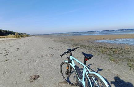 Fischstübchen Neeberg Apt 1 – Wald und Wiese - Foto 43
