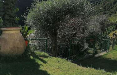 Casa Andreina - Foto 9