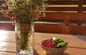 Family friendly house with a parking space Otocac, Velebit - 20654 - Foto 25