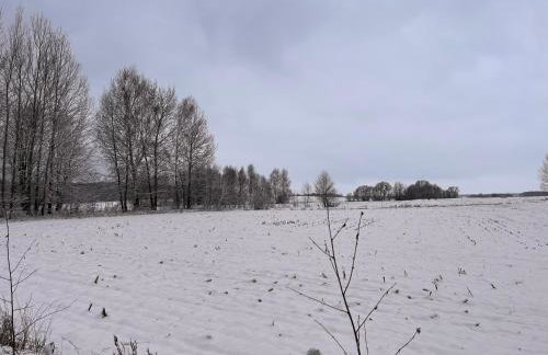 Brzozowy Zakątek - Foto 41