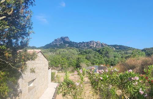 Bergerie U Caseddu - Foto 8