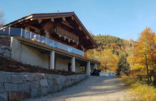 Chalet 10 pers sauna & SPA La tanière des Vosges - Foto 70