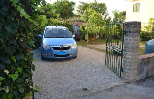 La Limonaia - Foto 9