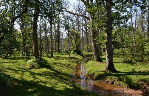 Bentley Cottage - Foto 22