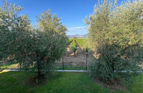 Seguire Le Botti - Agriturismo Cantina Sant'Andrea - Foto 25